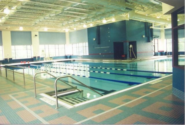 Gunite Pool Builder